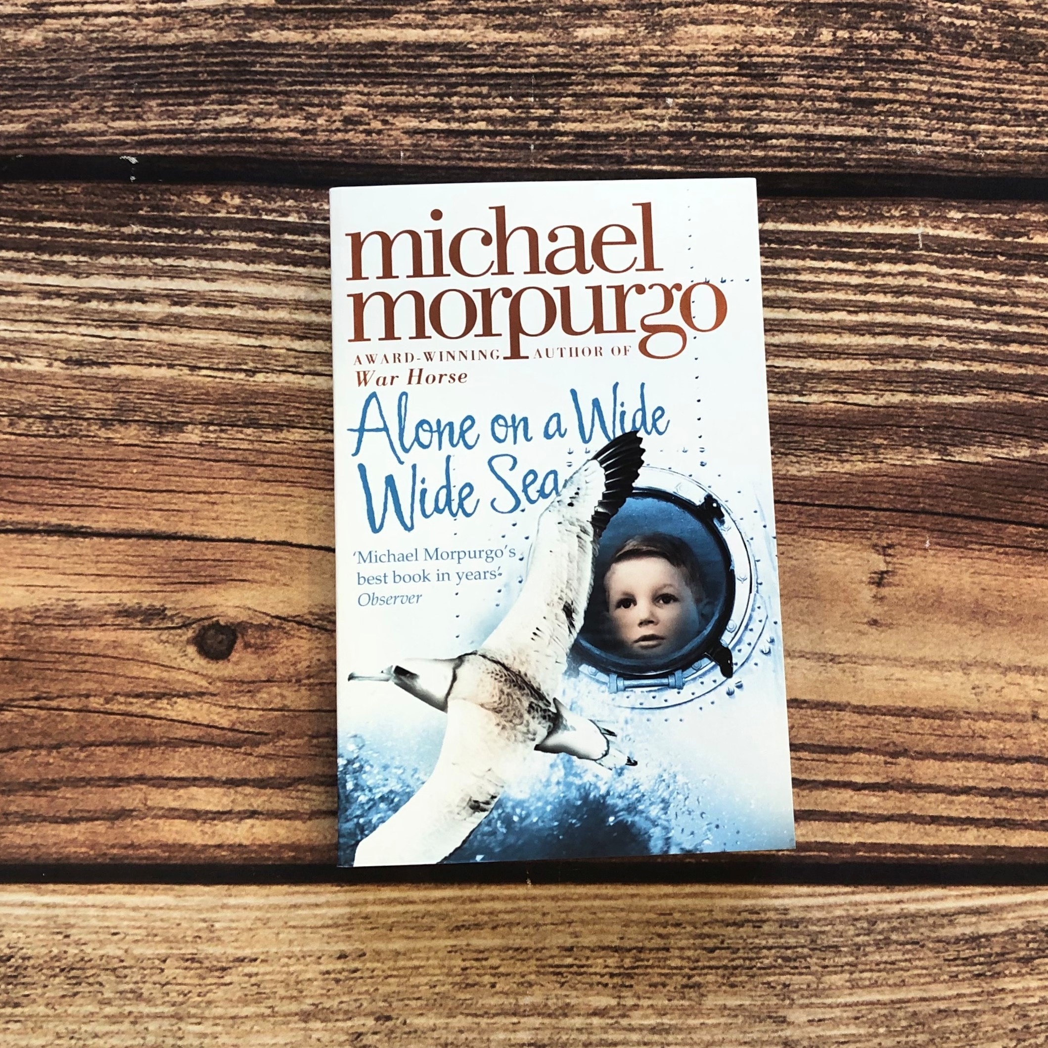 Alone On A Wide Wide Sea by Michael Morpurgo: Teaching Resources