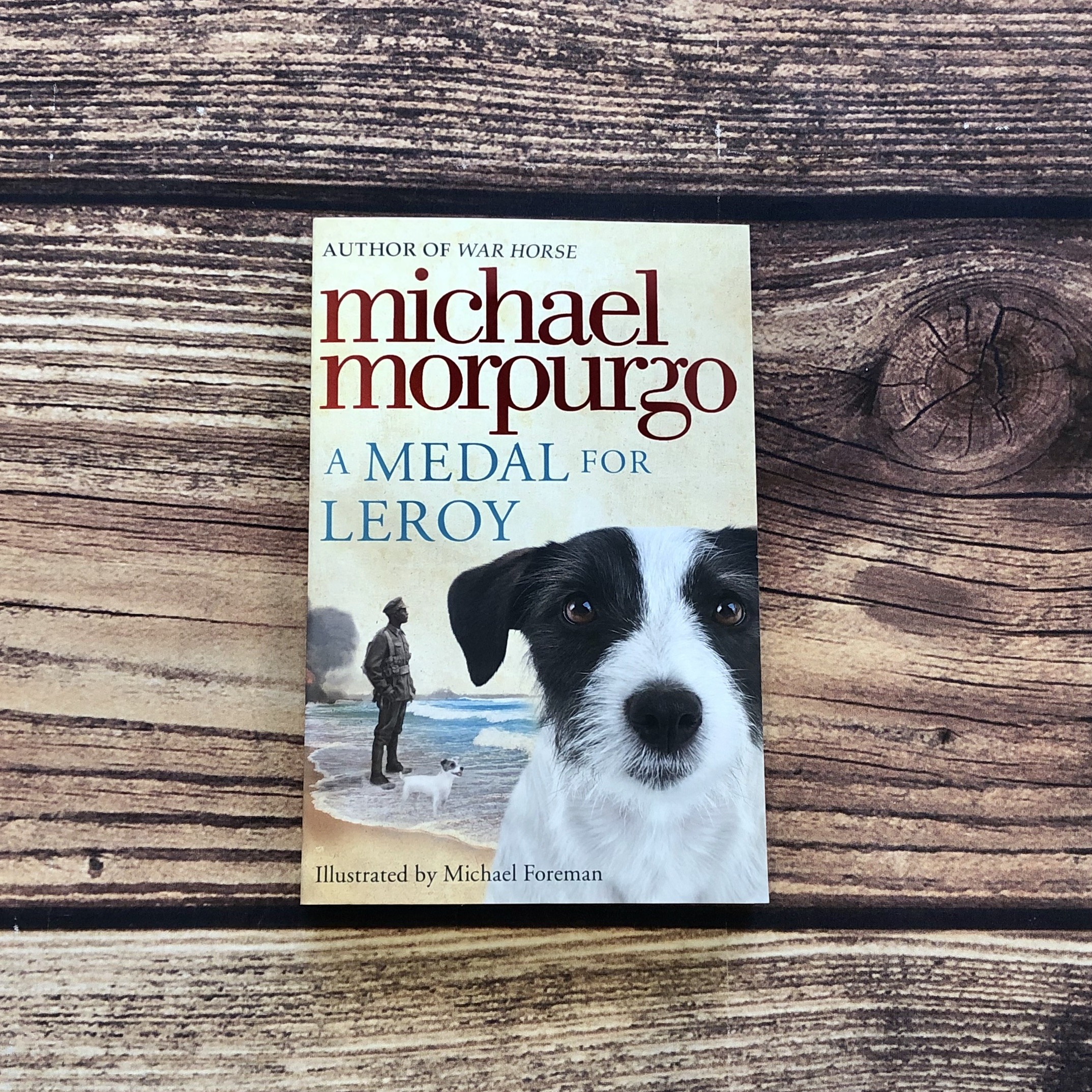 A Medal for Leroy by Michael Morpurgo Teaching Resources