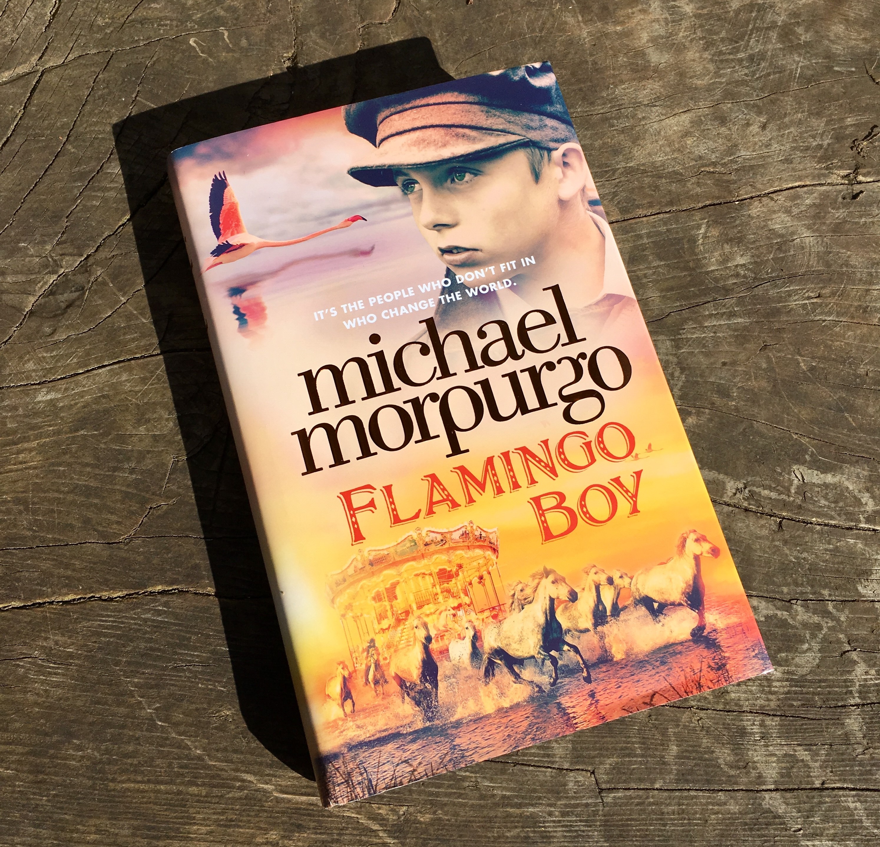 Flamingo Boy by Michael Morpurgo