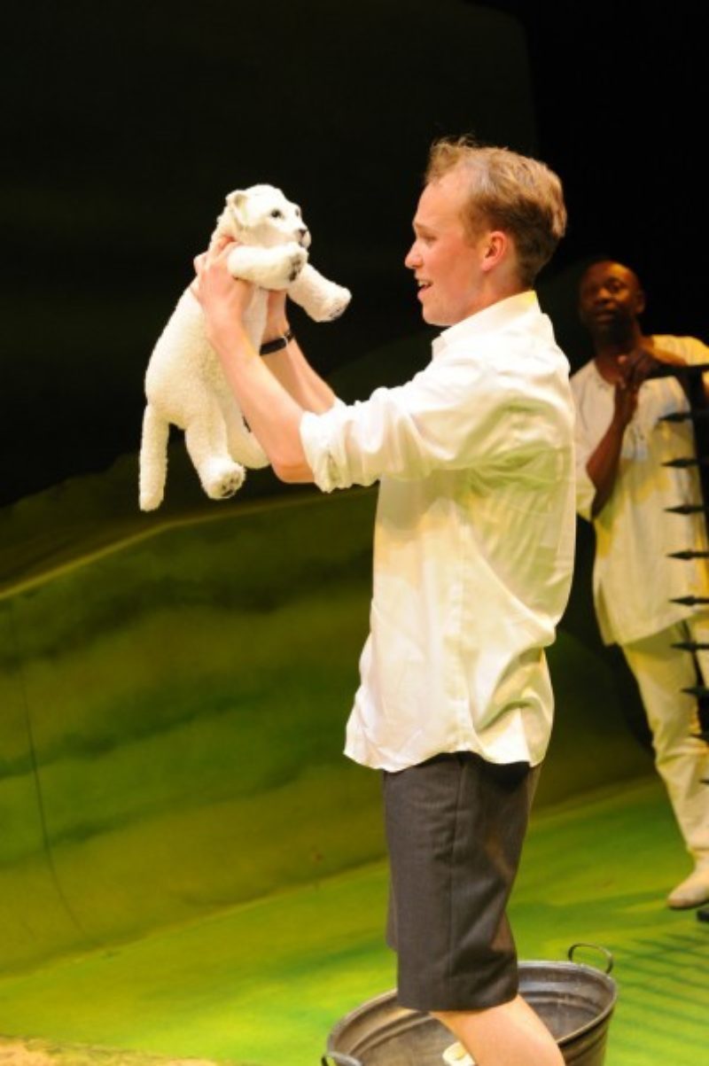 michael morpurgo the butterfly lion michael morpurgo the butterfly lion