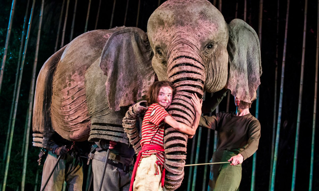 Ava Potter as Lilly in Michael Morpurgo's Running Wild Live