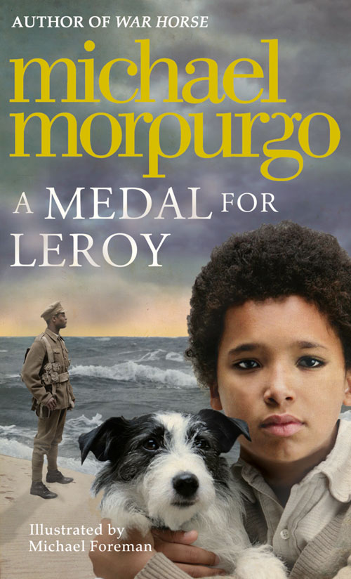 A Medal for Leroy Book Cover