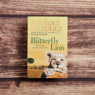 the butterfly lion blurb the butterfly lion blurb