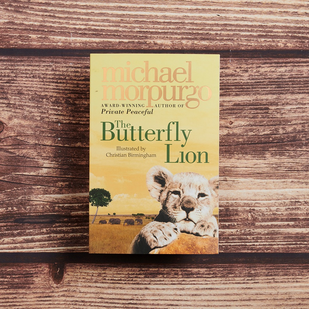 the butterfly lion the butterfly lion